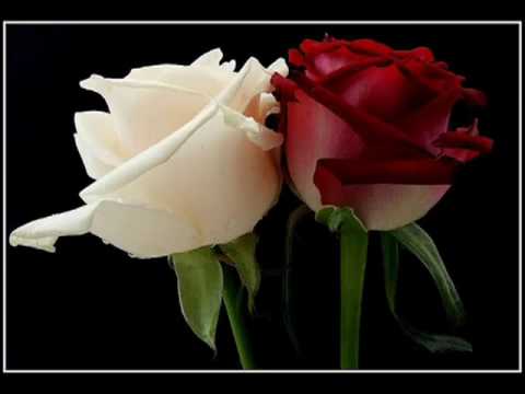 Tu Meri Ibtada Hai - Song Cover Image