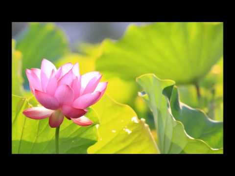 Hum Hum Tum Tum - Song Cover Image