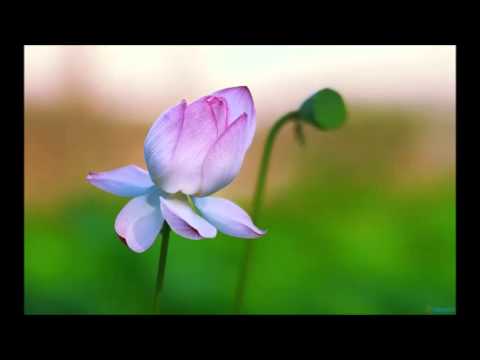 Hum Karenge Milke Aish - Song Cover Image