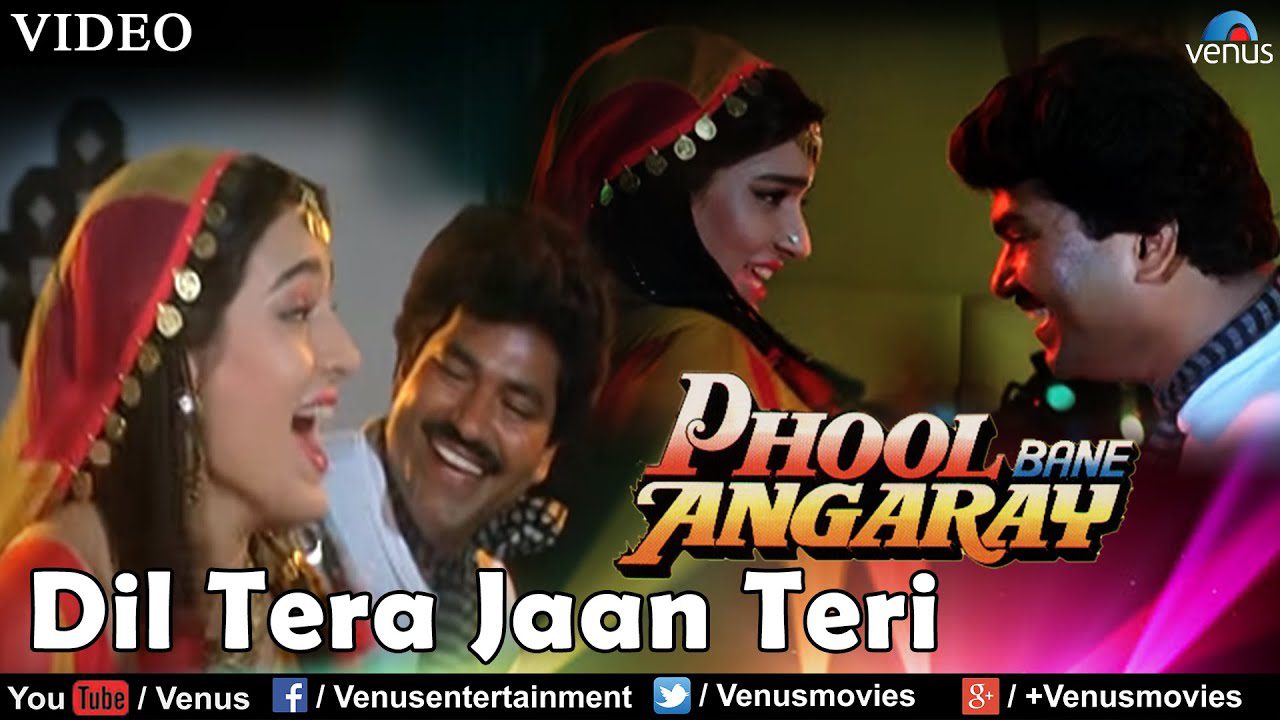 Dil Tera Jaan Teri - Song Cover Image