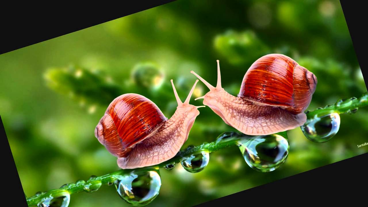 Tu Itna Pyar Kar - Song Cover Image