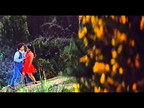 Dil Hai Tera Jaan Hai - Song Cover Image