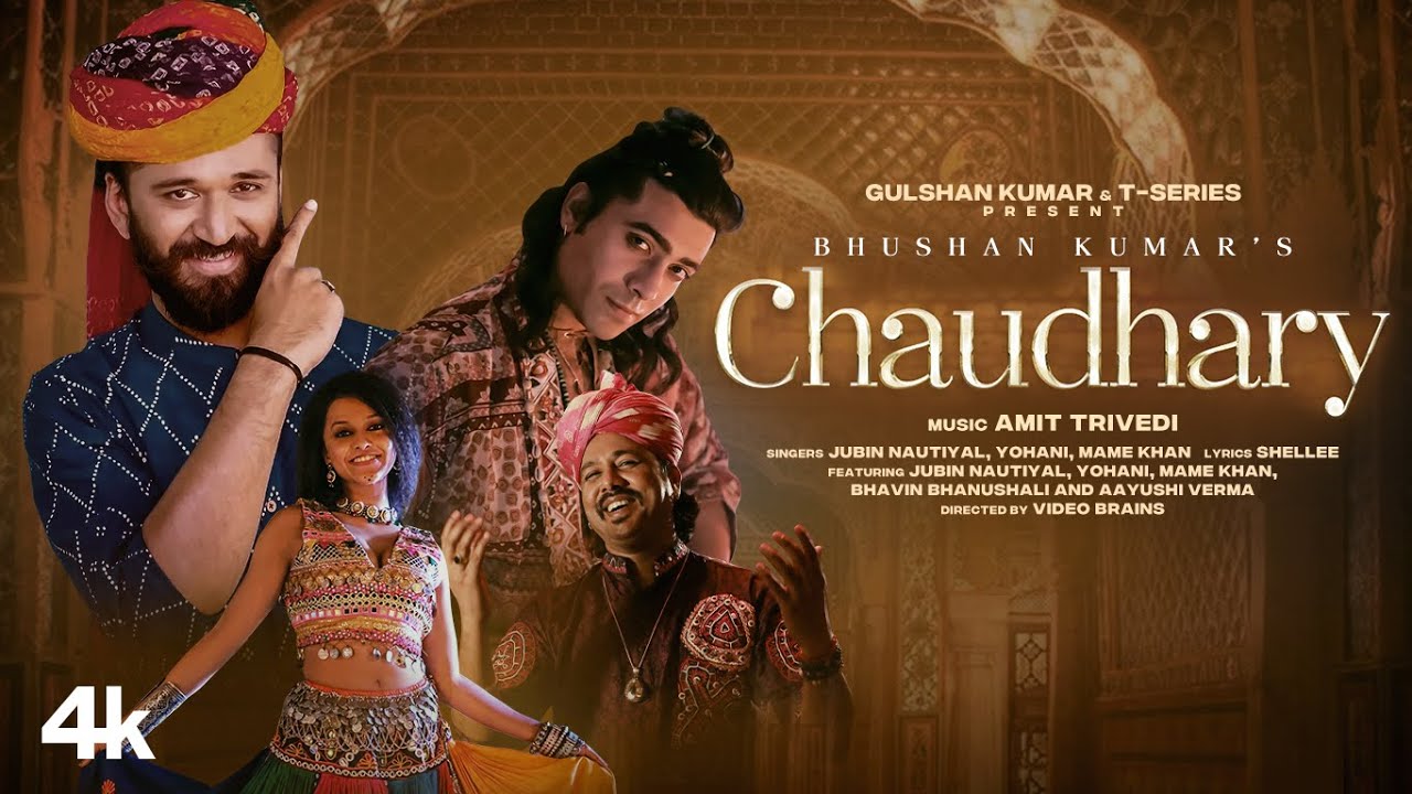 Chaudhary - Song Cover Image