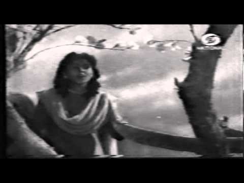 Taaro Ki Roshni - Song Cover Image