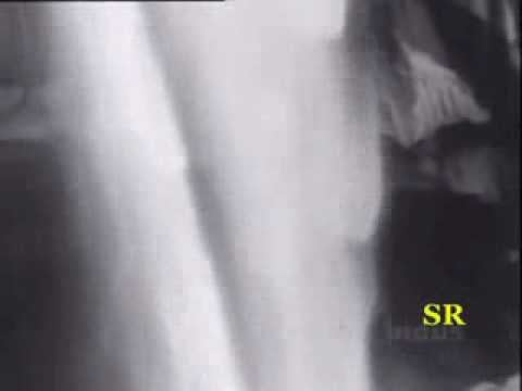 Saare Jahan Se Achha - Song Cover Image
