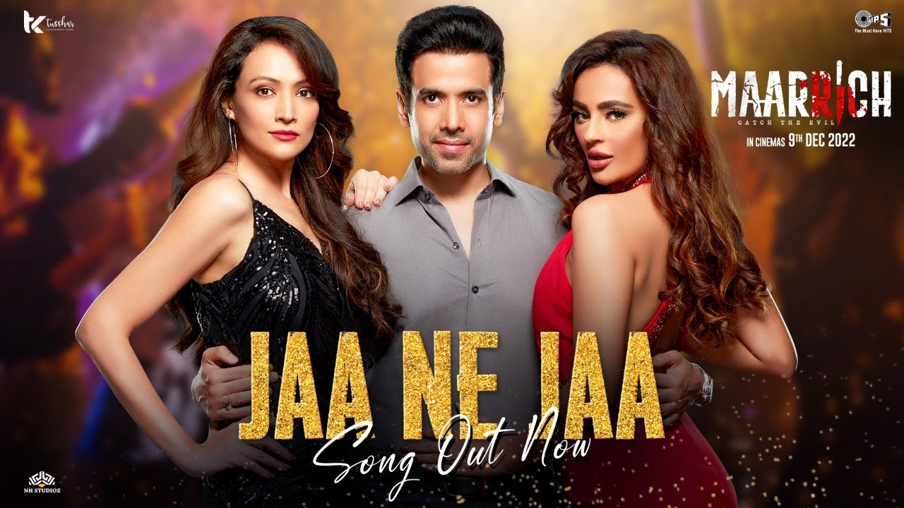 Jaa Ne Jaa - Song Cover Image