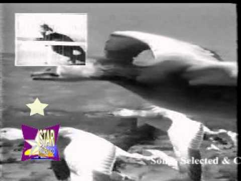 Pinjare Ke Panchhi Re - Song Cover Image