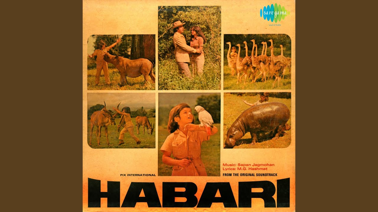 Dilwala Jag Mein - Song Cover Image