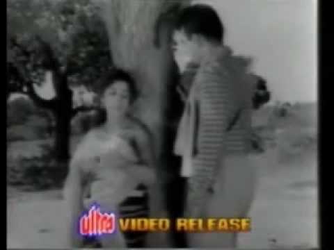 Baharo Tham Lo - Song Cover Image