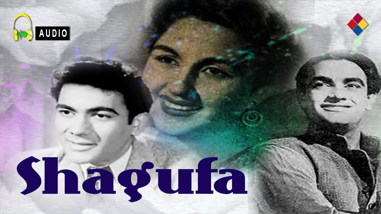 Dil Kabhi Apna Tha Lekin - Song Cover Image