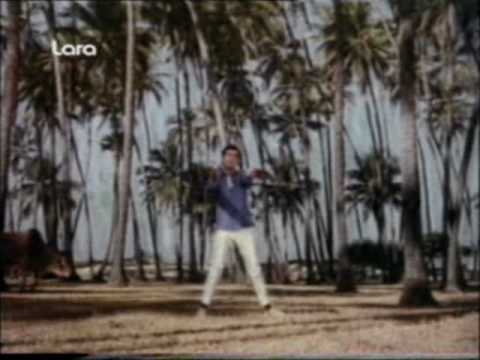 Ruk Ja O Albeli Jara - Song Cover Image