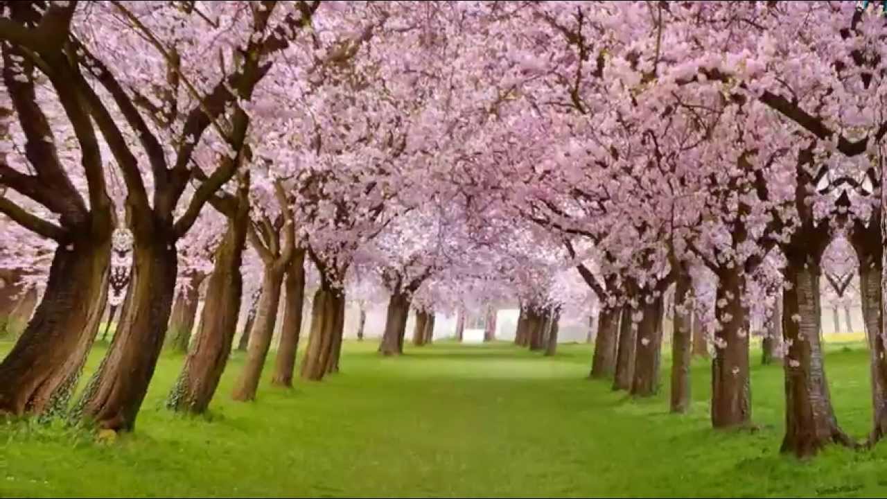 Yeh Albeli Mastani Koi Naar - Song Cover Image