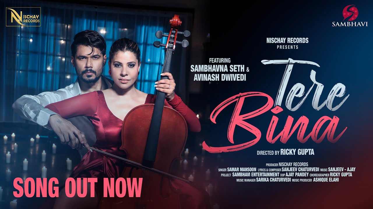 Tere Bina - Song Cover Image