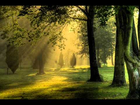 Sapnon Ki Duniya Mein - Song Cover Image