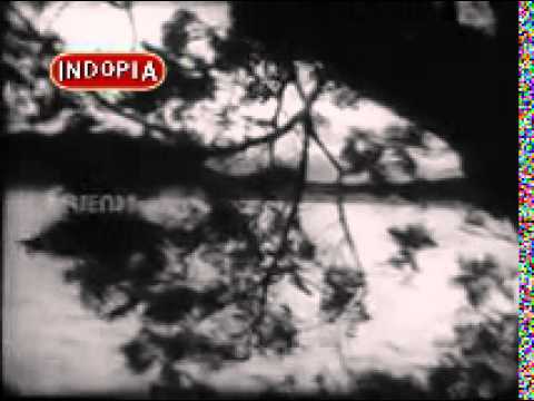 Kahin Chal Na De Raat Ka Kya Thikana - Song Cover Image