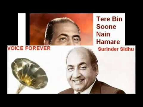 Nayi Seeta Ki Suno Nayi Kahani - Song Cover Image