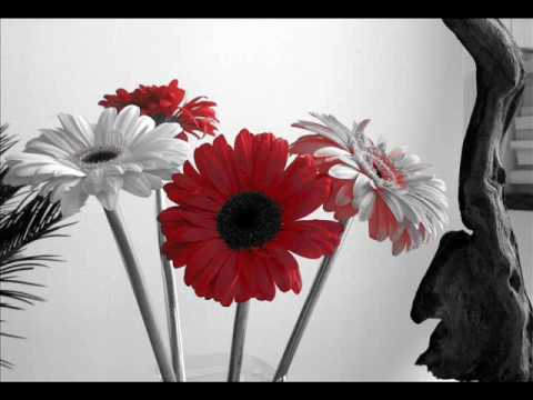 Jo Bhi Kuch Hai - Song Cover Image
