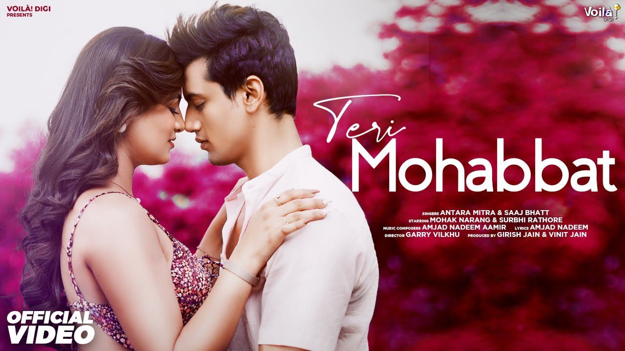 Teri Mohabbat - Song Cover Image