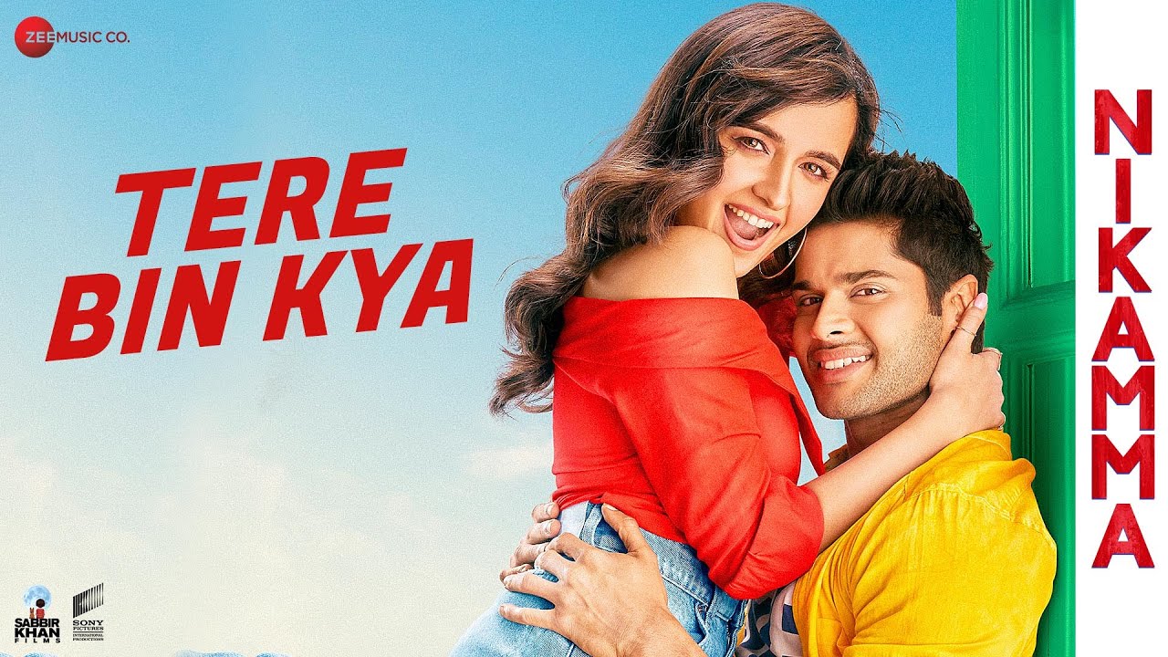 Tere Bin Kya - Song Cover Image