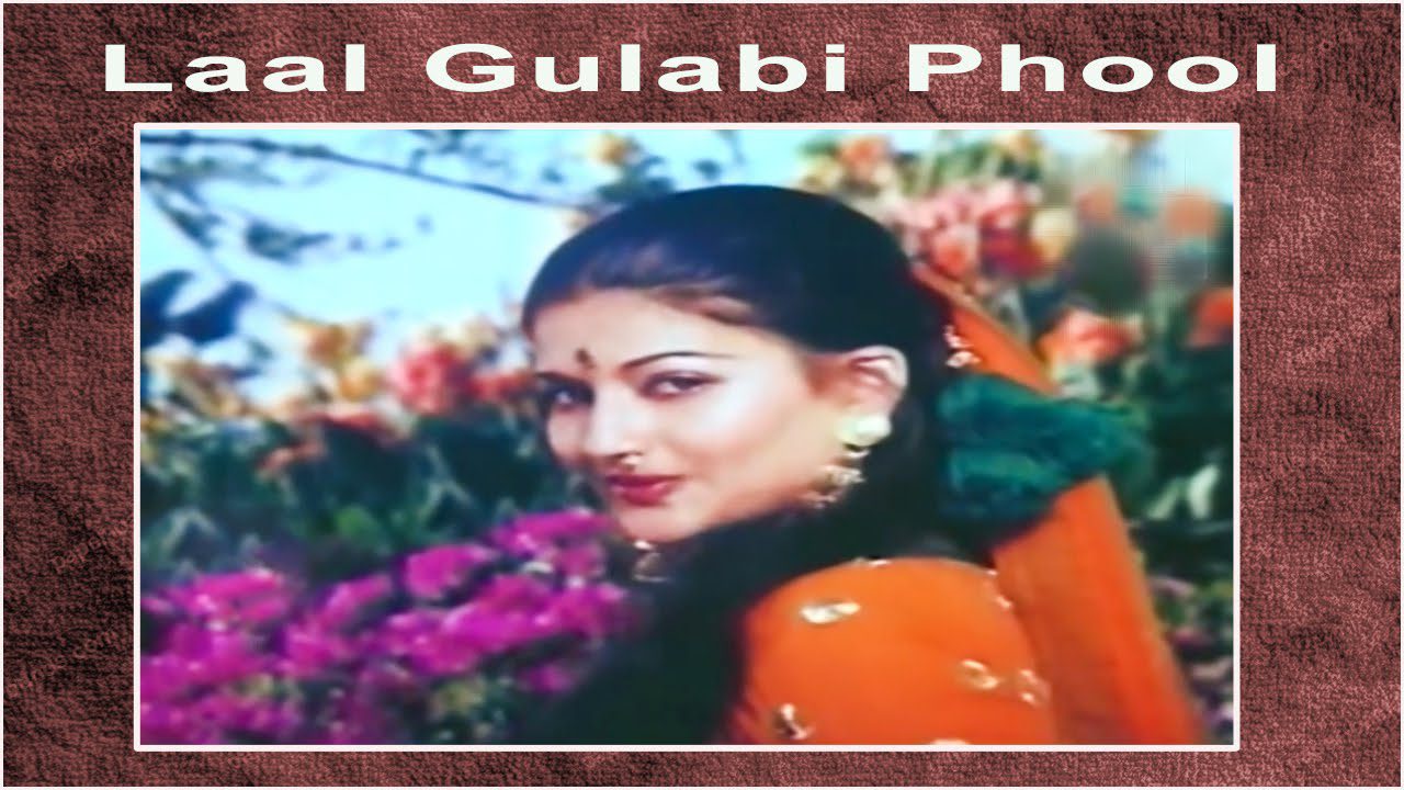 Lal Gulabi Phoolo Se Bhari - Song Cover Image