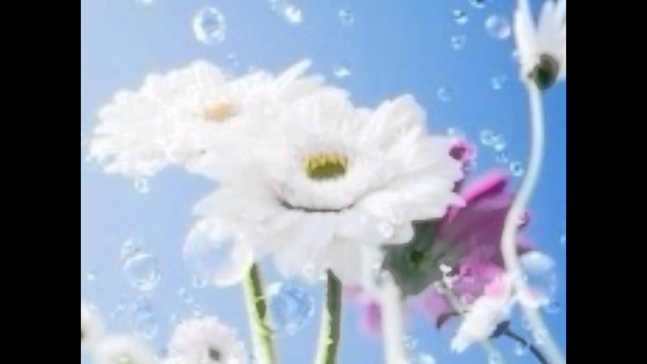 Bheega Hain Mausam - Song Cover Image