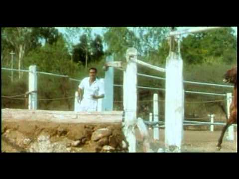 Himmat Kabhi Na Todenge - Song Cover Image
