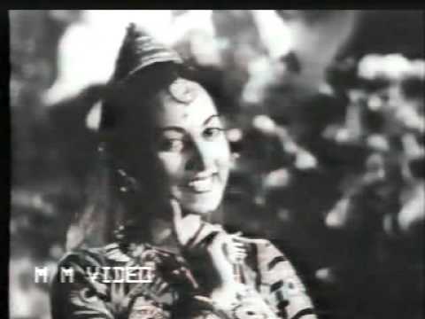 Paapi Papeeha Re - Song Cover Image