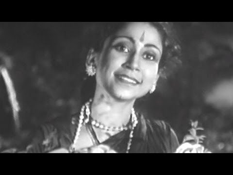 Daal Daal Kunj Kunj - Song Cover Image