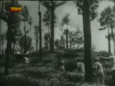 Ek Kali Aur Do Patiya - Song Cover Image