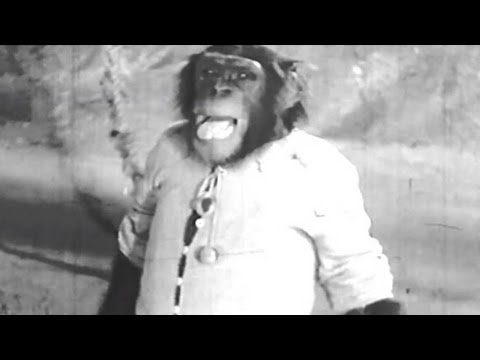 O Zalima Chala Kaha - Song Cover Image