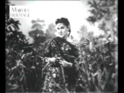 Main Kheton Ka Panchi - Song Cover Image