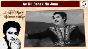 Ae Dil Behak Na Jana - Song Cover Image