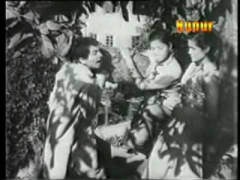 Bachna Zara Yeh Zamana Hai Bura - Song Cover Image