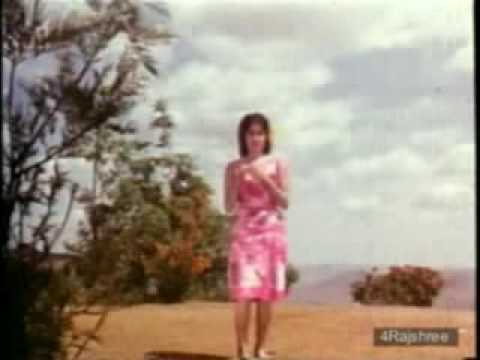 Khafa Na Hona - Song Cover Image
