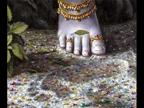 Hey Krishan Gopal Hari - Song Cover Image