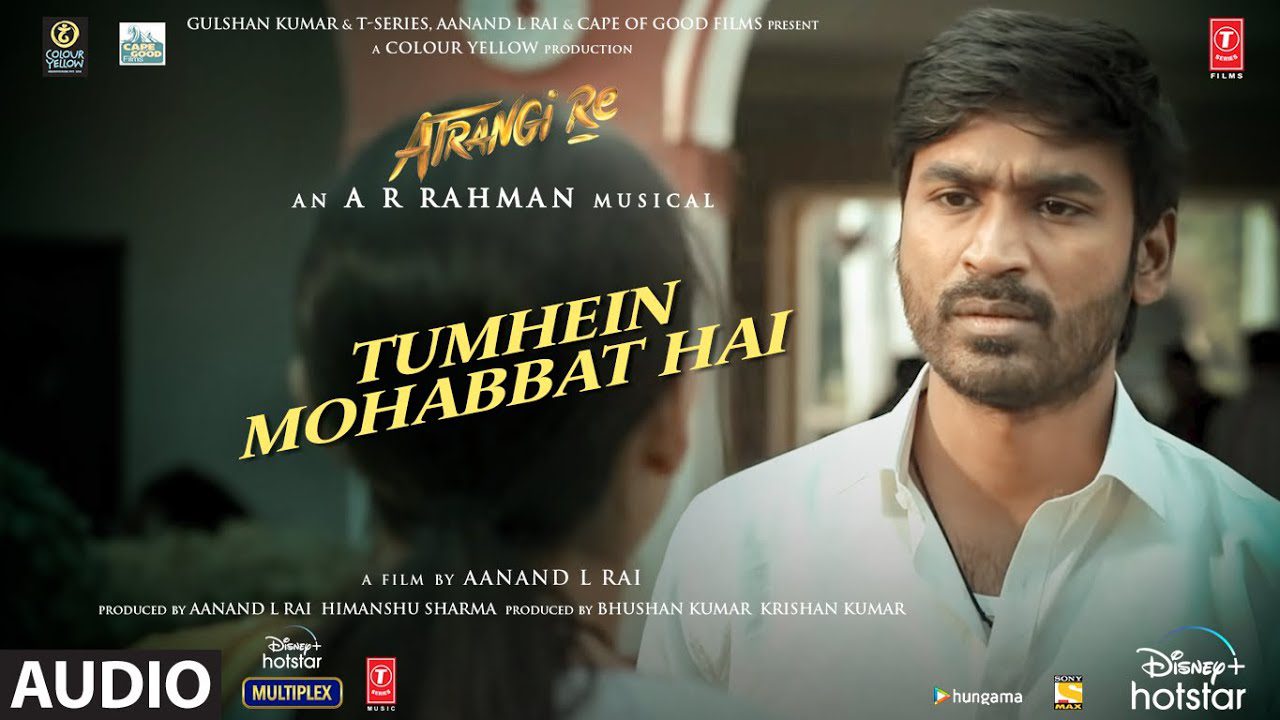 Tumhein Mohabbat Hai - Song Cover Image