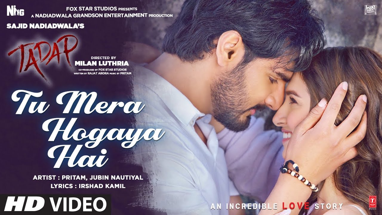 Tu Mera Hogaya Hai - Song Cover Image