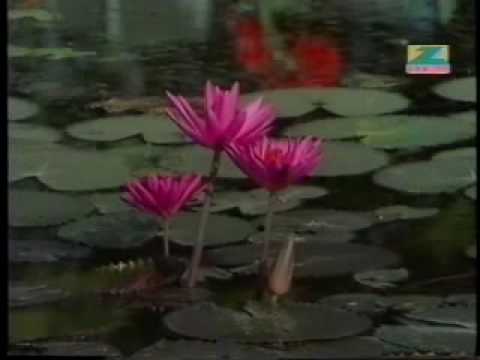 Kuchh Bhooli Huyi Yaadein - Song Cover Image