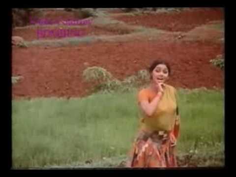 Mori Dhani Chunar - Song Cover Image