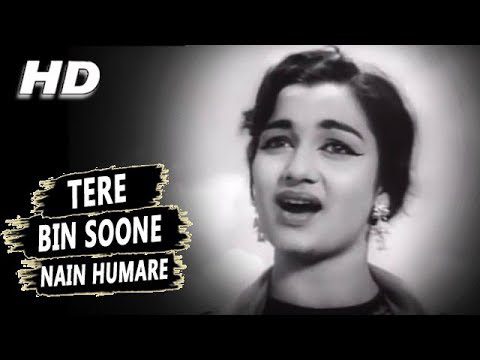 Tere Bin Sune Nain Humare - Song Cover Image