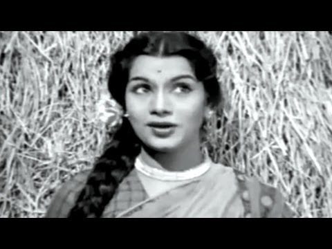 Naihar Ke Geet Main Gaaun - Song Cover Image