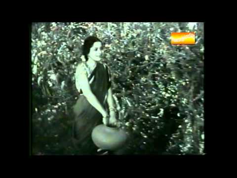 Jal Bharane Chalo - Song Cover Image