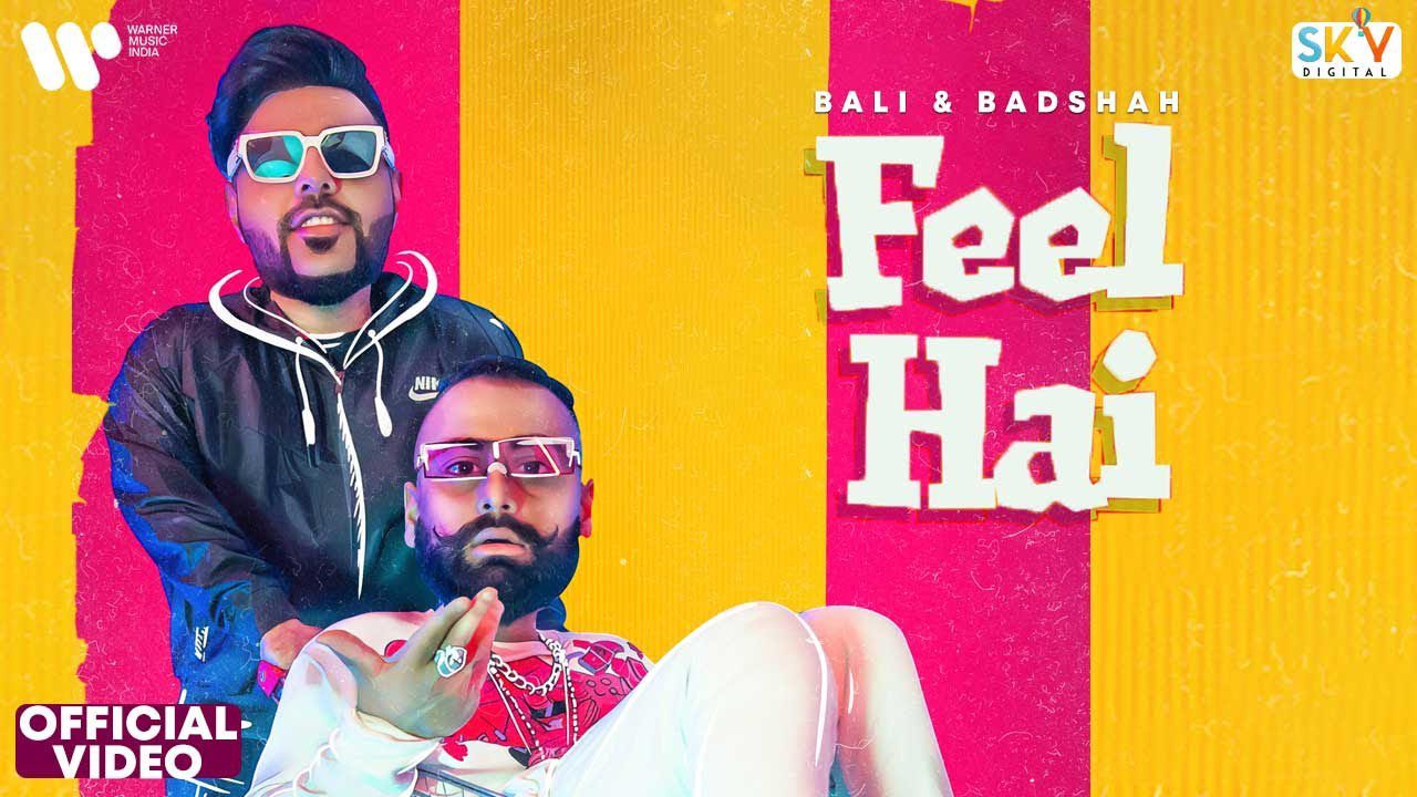 Feel Hai - Song Cover Image
