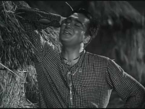 Aaha Rim Jhim Ke Ye Pyare Pyare - Song Cover Image