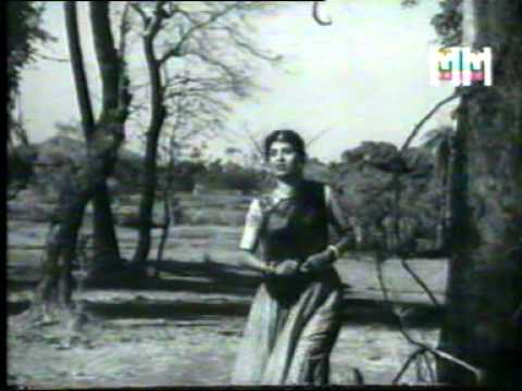 Zindagi Ka Ajab Fasana Hai - Song Cover Image