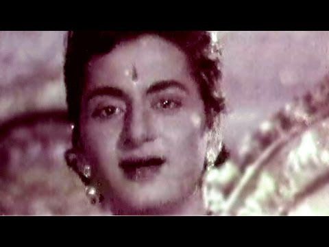Gore Gore Gulabi Gaal - Song Cover Image