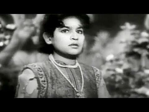 Woh Chala Akela Nirjan Ban Mein - Song Cover Image