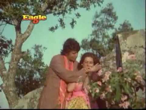 Thodi Si Zameen - Song Cover Image