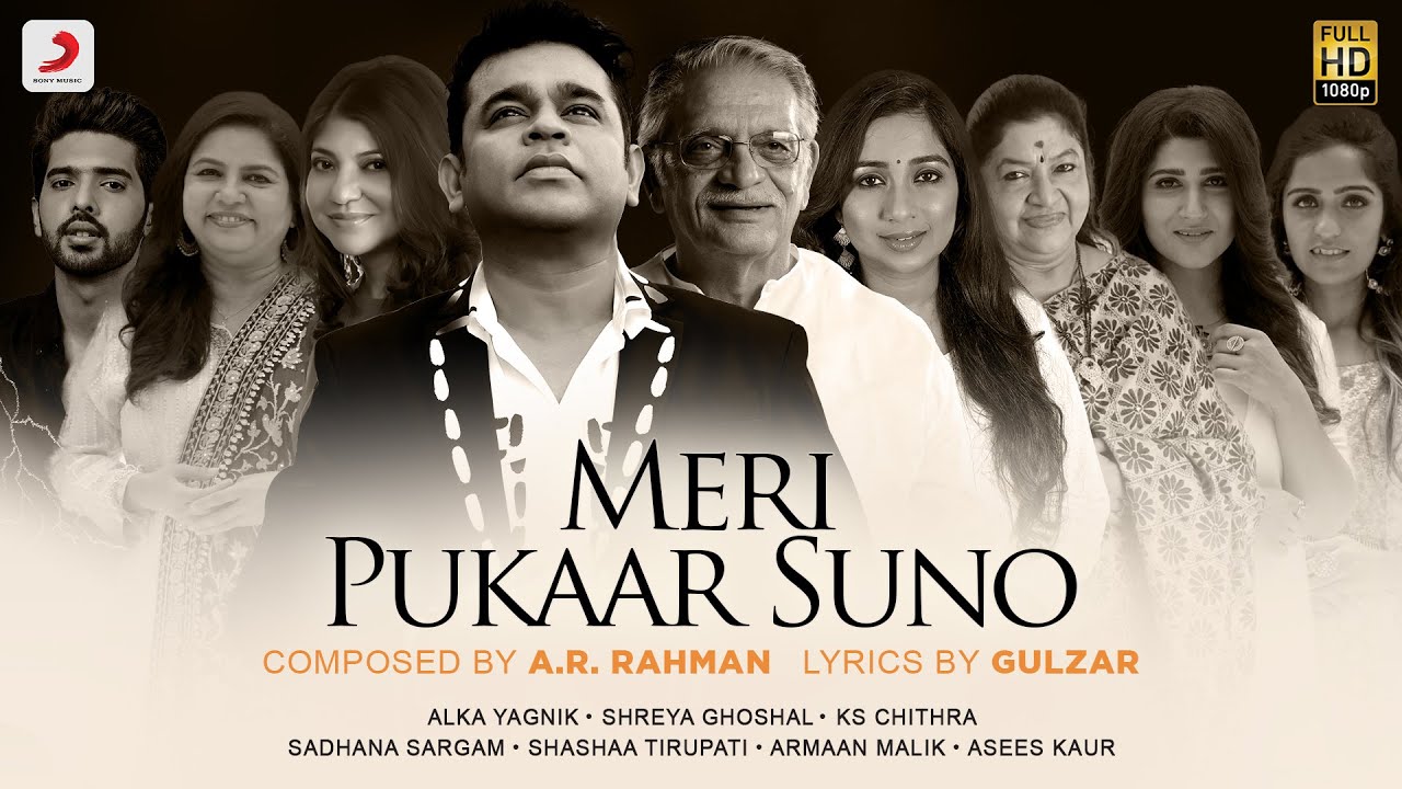 Meri Pukaar Suno - Song Cover Image