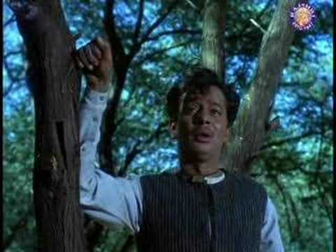 Jaata Hoon Main - Song Cover Image